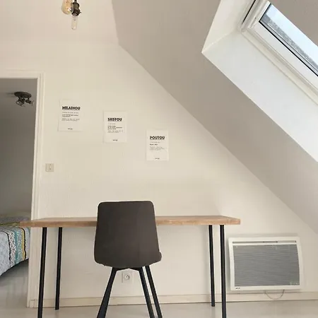 Duplex Sur Les Toits De Rodez Rodez